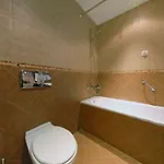 Hotel Lion