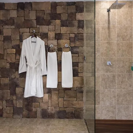 ライオン ホテル 4*