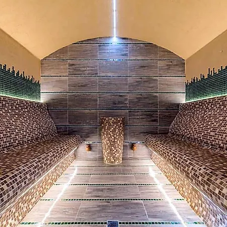 Hotel Lion