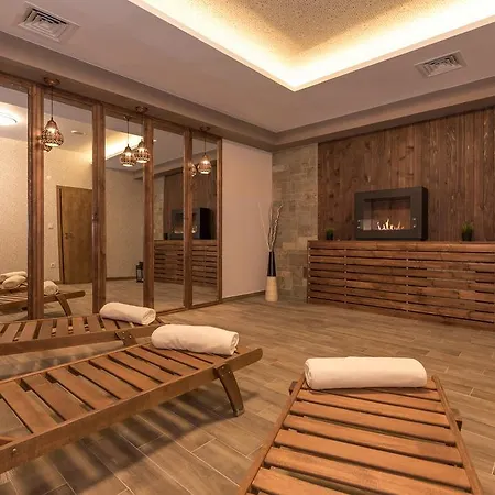 Hotel Lion