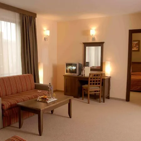 Hotel Lion 4*